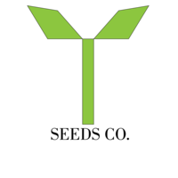 Minimalist Logo 4