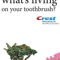 Spec print ad design 2