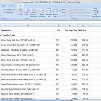 Vlook-up Excel project