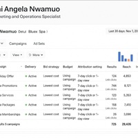 Facebook Ads for Deluxe Spa: 29K reach, 725 clicks.