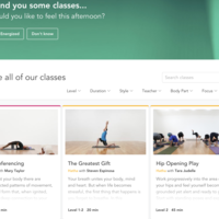 YogaGlo Project Search Page For Authorized User