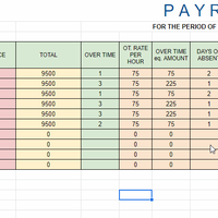 My Own Payroll Template 