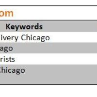 SEO/SMM for www.chicagosmarcelflorist.com