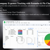 Sample of Company Expenses Tracking