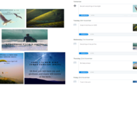 Social Media Management