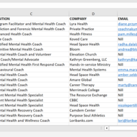 Lead Generation for mental health personnel in the US.