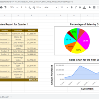 Office Application Portfolio