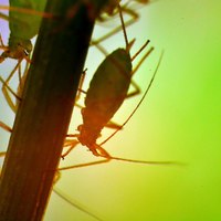 Portfolio Thumbnail 2