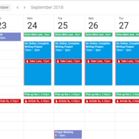 Google Calendar Management