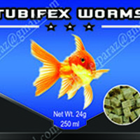 Portfolio Thumbnail 20