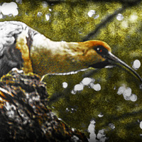 Portfolio Thumbnail 9