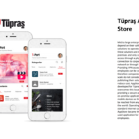 VPN-less Crporate AppStore Project