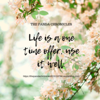 Sample work made using Canva