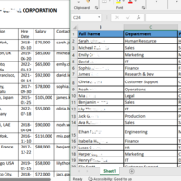 Data Entry from PDF to excel/Sheet