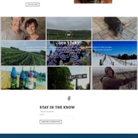 Blue Mountain Vineyards website