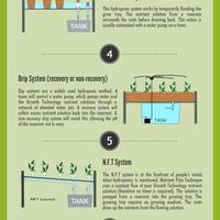 An Introduction to Hydroponics (nutrifield.com.au)