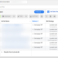 Sample Setup of Ads Campaign for Lead Generation