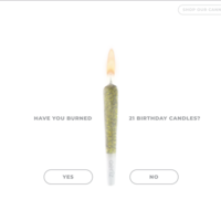 WordPress (cannabis)