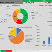 Simplified dashboard for Business follow-up