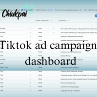TikTok Ads Campaign 