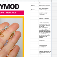Newsletter translation example 1