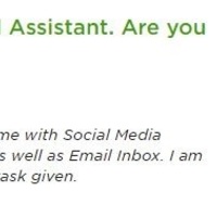 Virtual Assistant - Real Estate