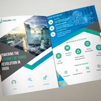 Faclon Labs - Trifold Brochure Design