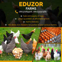 Flyer for a Poultry Farm