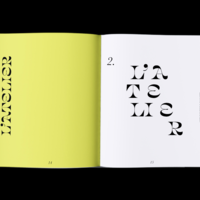 Brancusi, Essence de la matière - art book