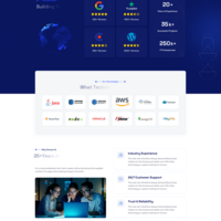IT Business Homepage  (WordPress)