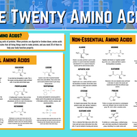 Academic chart