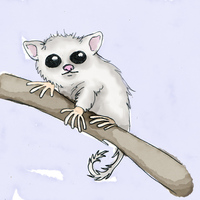 Portfolio Thumbnail 0