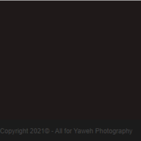 Portfolio Thumbnail 0