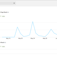 Analytical Report No.1