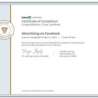 Facebook Advertising In LinkedIn Course
