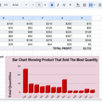 Data Management and Analysis on Excel