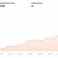 Ubersuggest Traffic