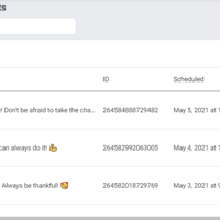 Social Management - Scheduled Post