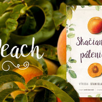 Distillery Bottle Label - Peach