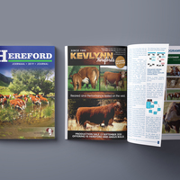Magazines, Annual Reports & Journals