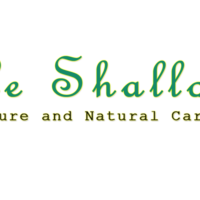 Portfolio Thumbnail 3