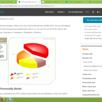 My DISC personality test result