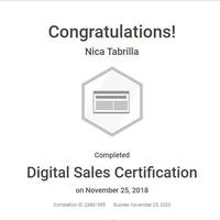 Google Digital Sales 