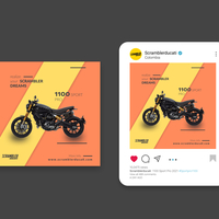 Portfolio Thumbnail 0