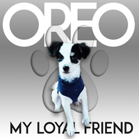 Portfolio Thumbnail 2