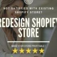 I will customize your shopify store on premium theme