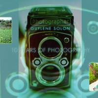 Web Design - Photography