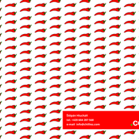 Portfolio Thumbnail 8