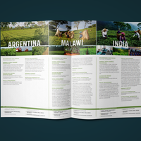Bifold Brochure Design