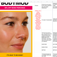 Newsletter translation example 2